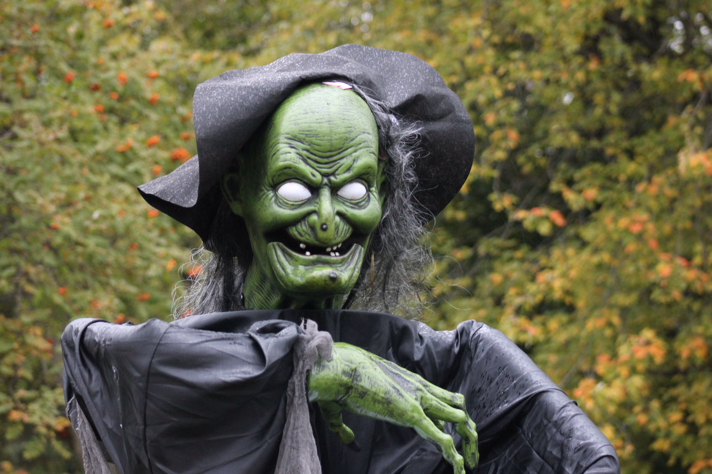 A green-faced witch figure with pale eyes, a gray hat and black robes reaching toward the camera in front of autumn trees