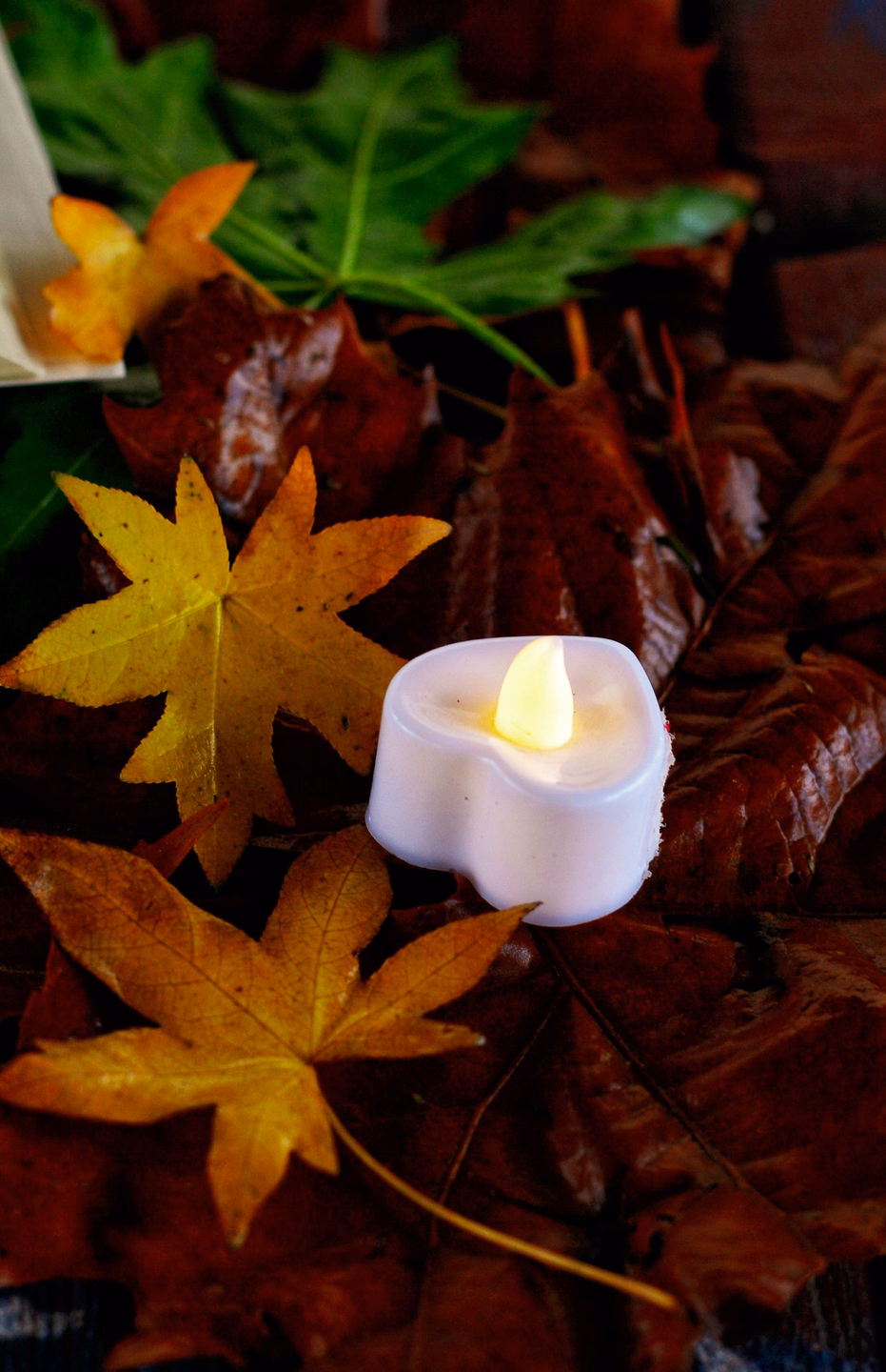 A white heart-shaped LED tealight with a yellow plastic flame glowing among red and yellow autumn leaves