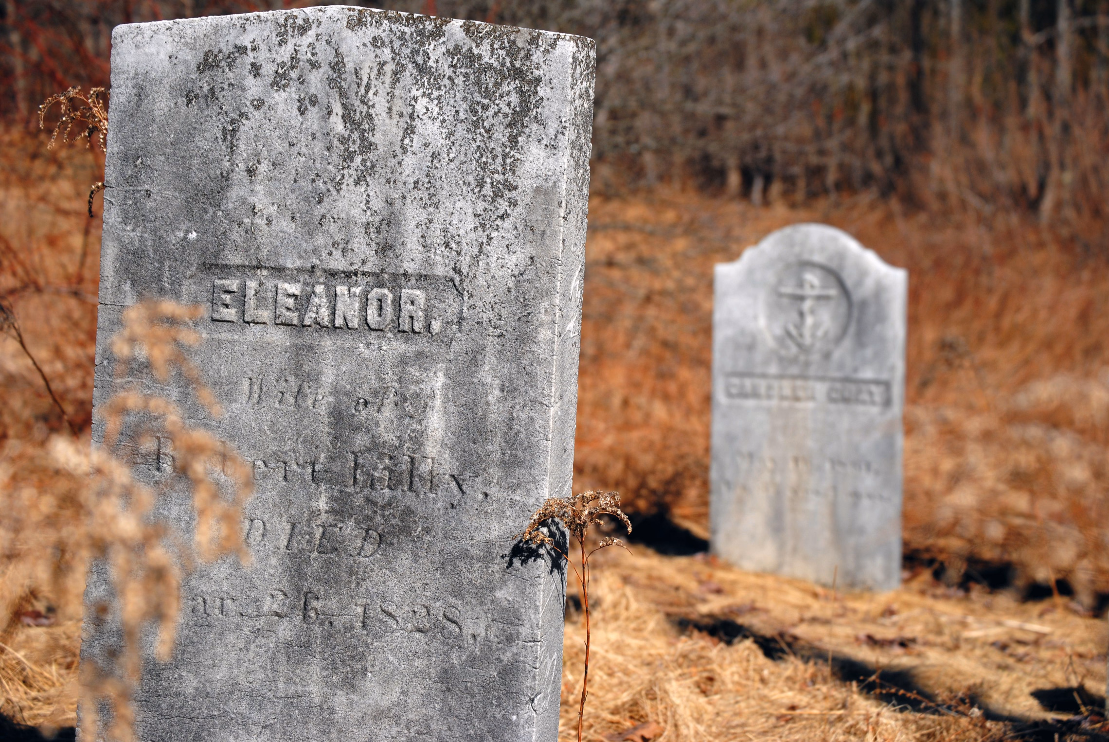 A tall white marble gravestone lettered ELEANOR, streaked gray and blotched with lichen, with a smaller stone carved with an anchor behind it in dry autumn grass