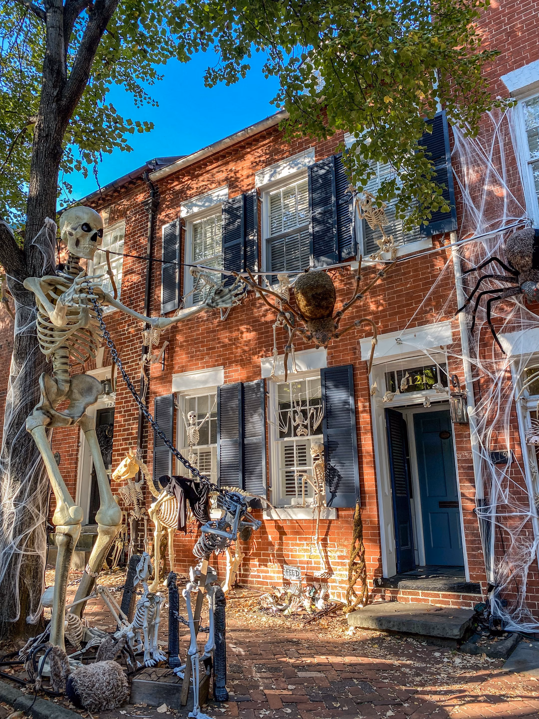 A brick row house with life-size skeletons, a skeleton horse, giant spiders and heavy fake cobweb, the props crowding a brick walkway that meets the sidewalk