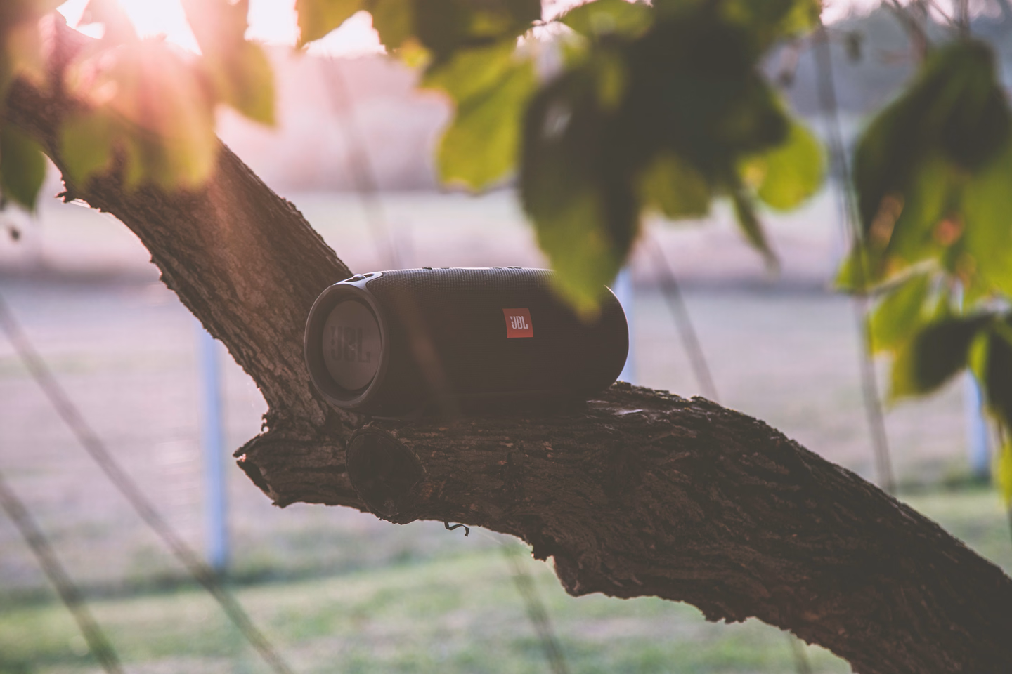 A black portable Bluetooth speaker resting on a thick tree branch, leaves and a sunlit field blurred behind it