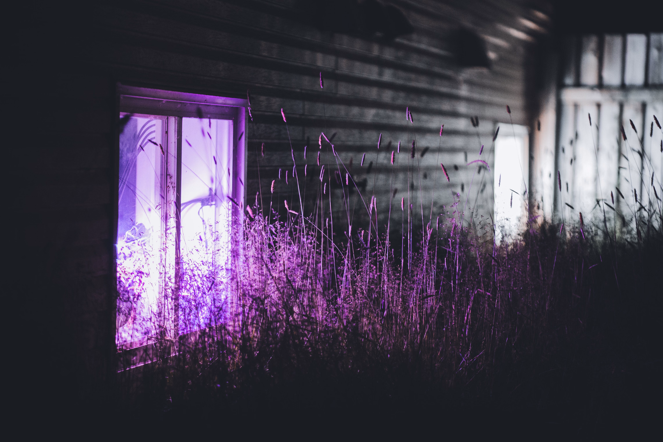 A wooden house at night with violet light glowing through its windows onto the siding