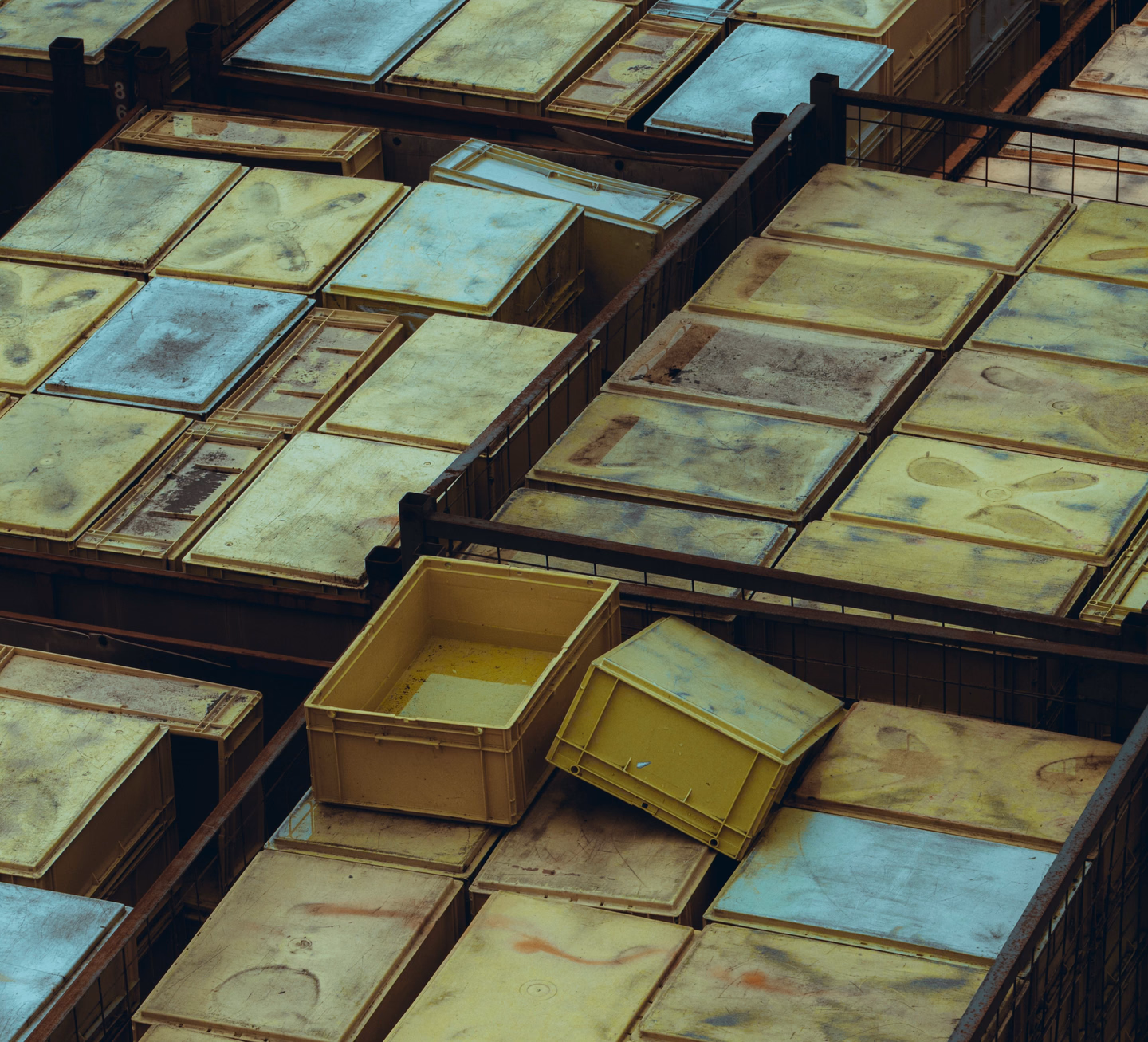 Rows of scuffed yellow plastic crates with lids packed into rusty wire cages, one open crate sitting askew on top with a skim of liquid in the bottom