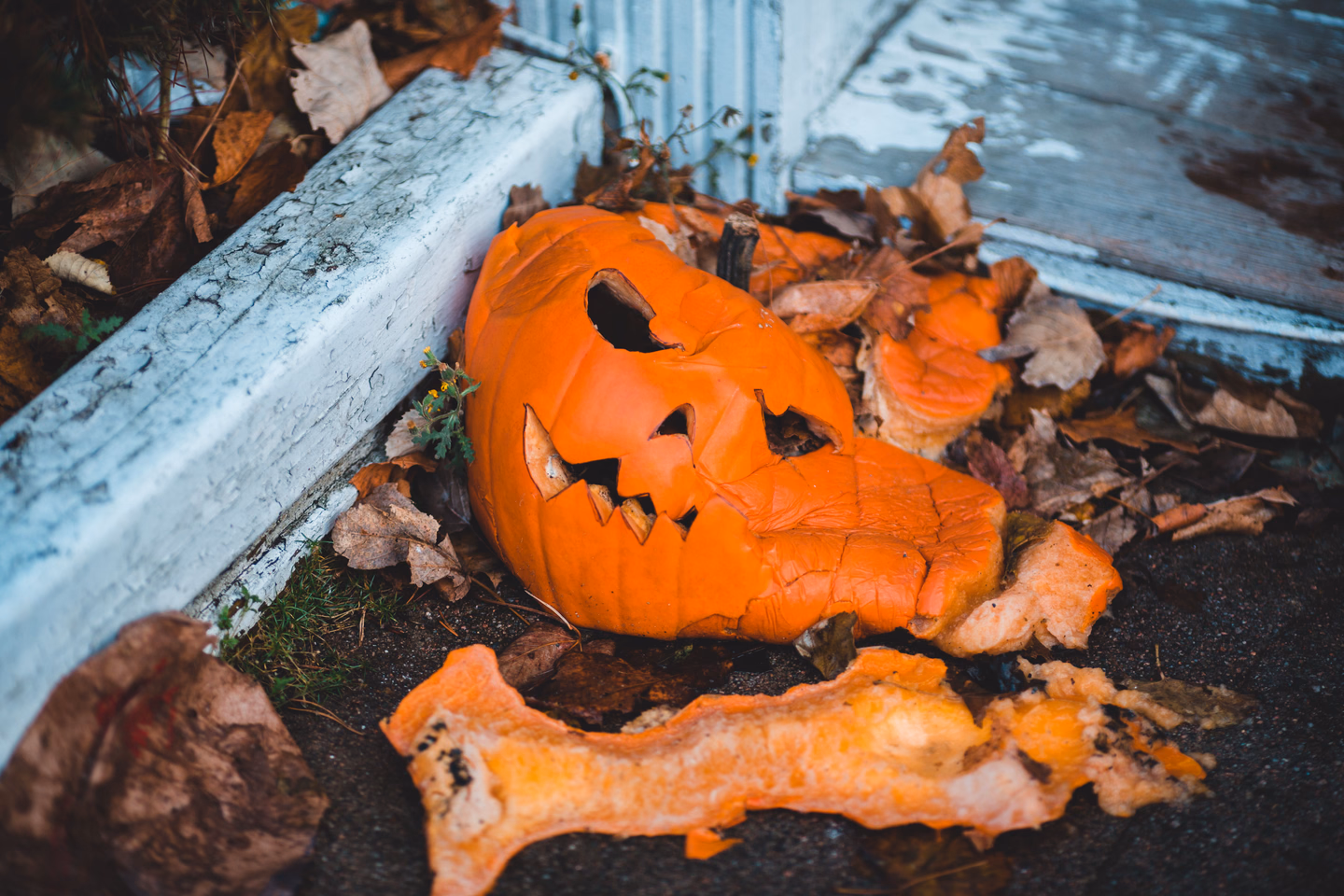A carved jack-o'-lantern collapsed and split open against a curb among wet autumn leaves, a broken chunk of rind in front of it
