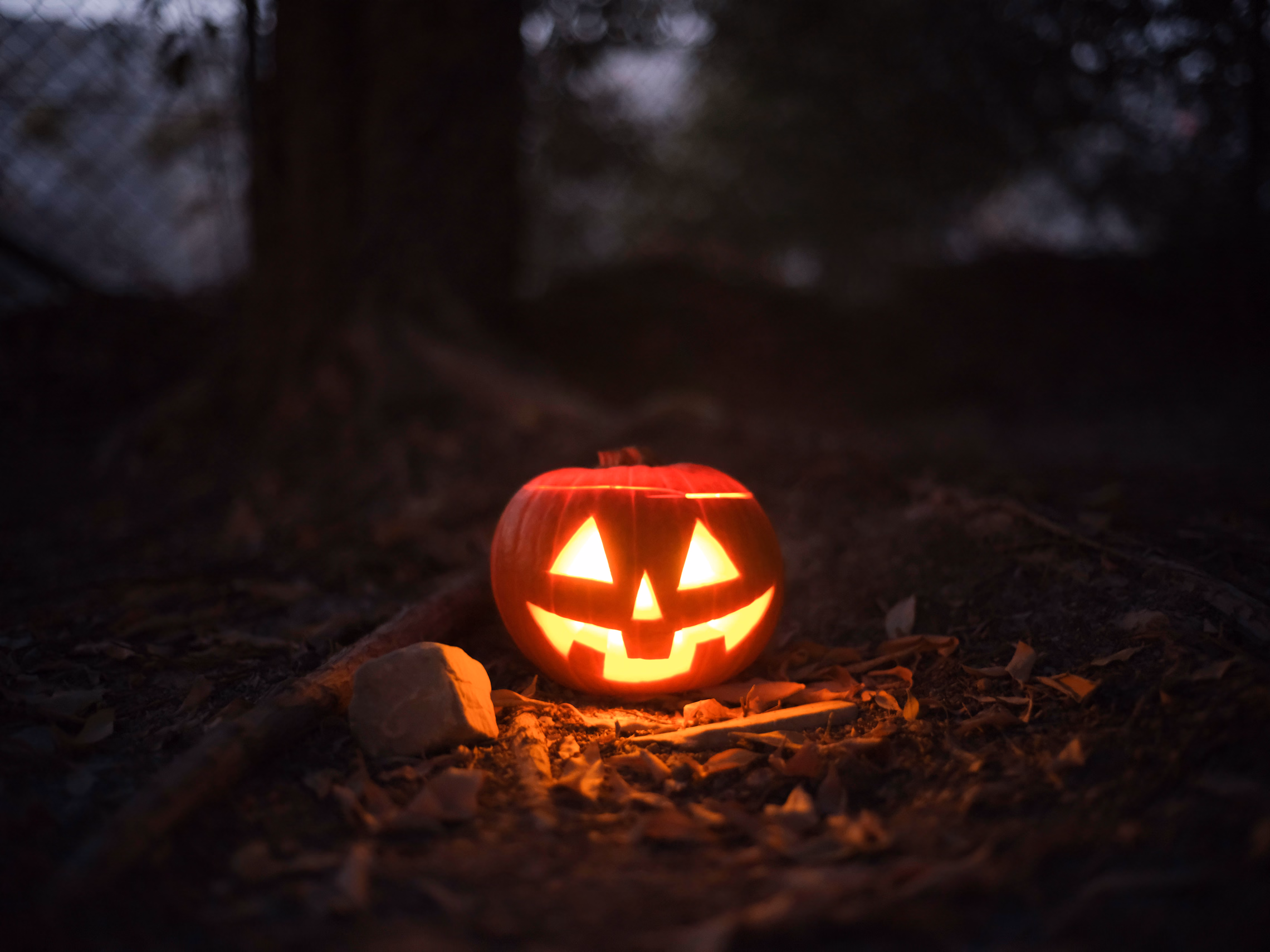 A single carved jack-o'-lantern with triangle eyes and a jagged grin glowing orange on a dirt path at dusk, dry leaves and a stone beside it