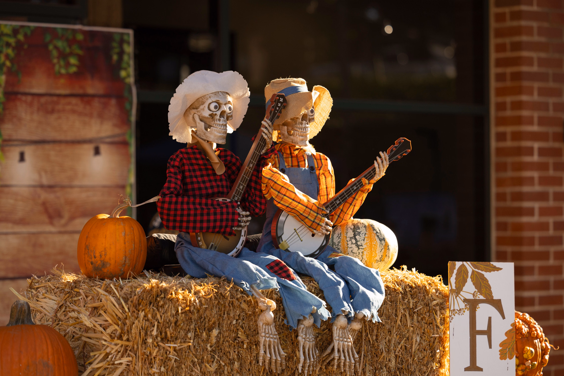 Two life-size skeletons in straw cowboy hats, plaid shirts and jeans sitting side by side on a hay bale playing banjos, with pumpkins around them