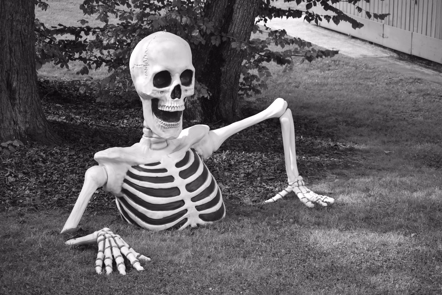 A life-size plastic skeleton buried to the ribs in a lawn, one arm reaching forward onto the grass as if pulling itself out