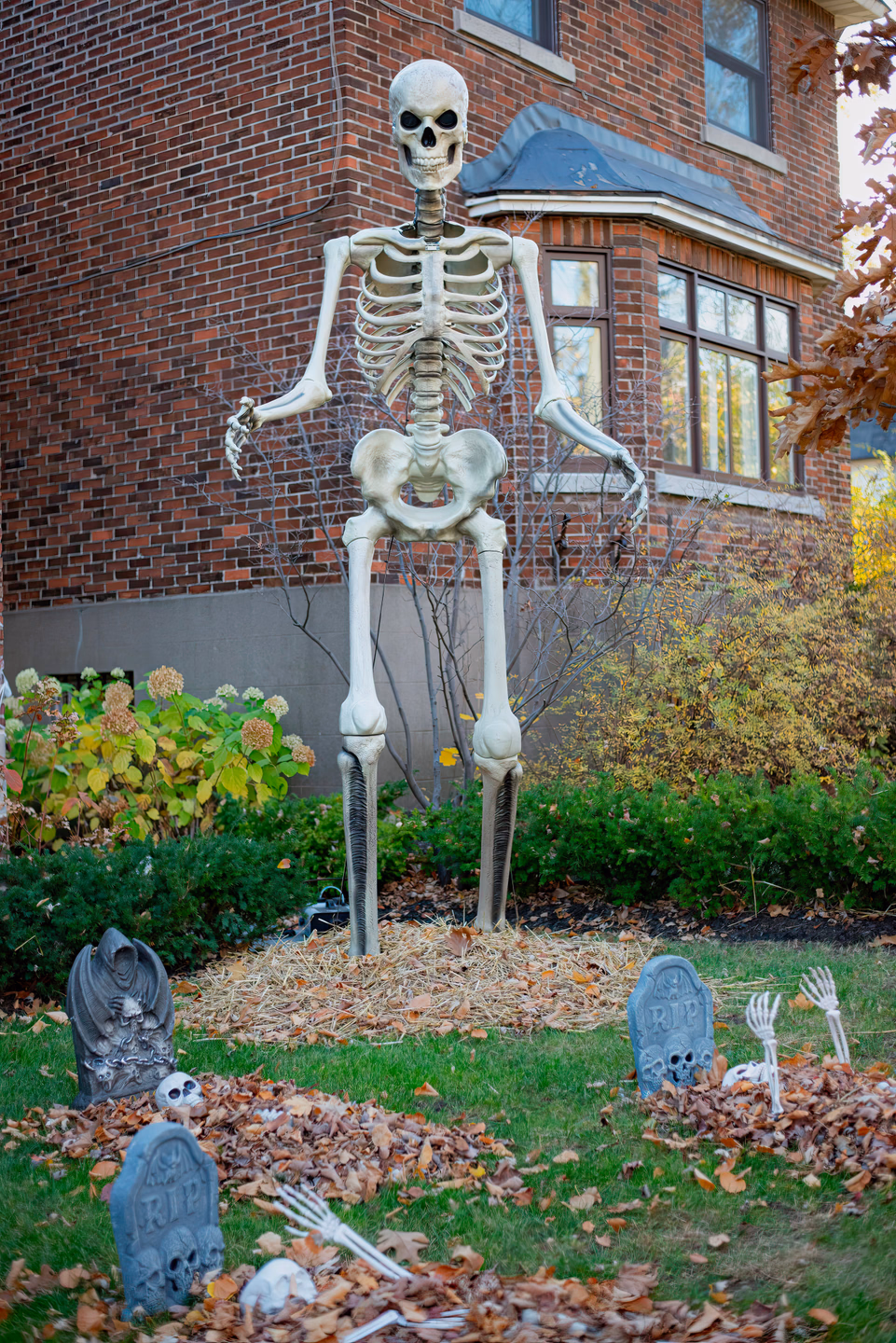 A giant white skeleton standing taller than the ground floor of a brick house, above a lawn of fallen leaves and small tombstones