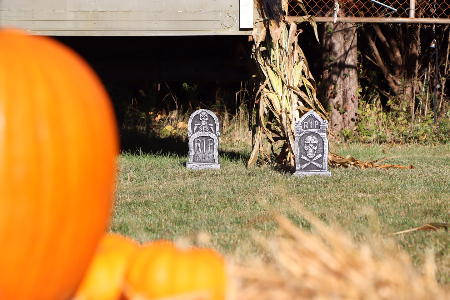 A bundle of dried cornstalks and two foam tombstones on a lawn, with an out-of-focus pumpkin and straw in the foreground