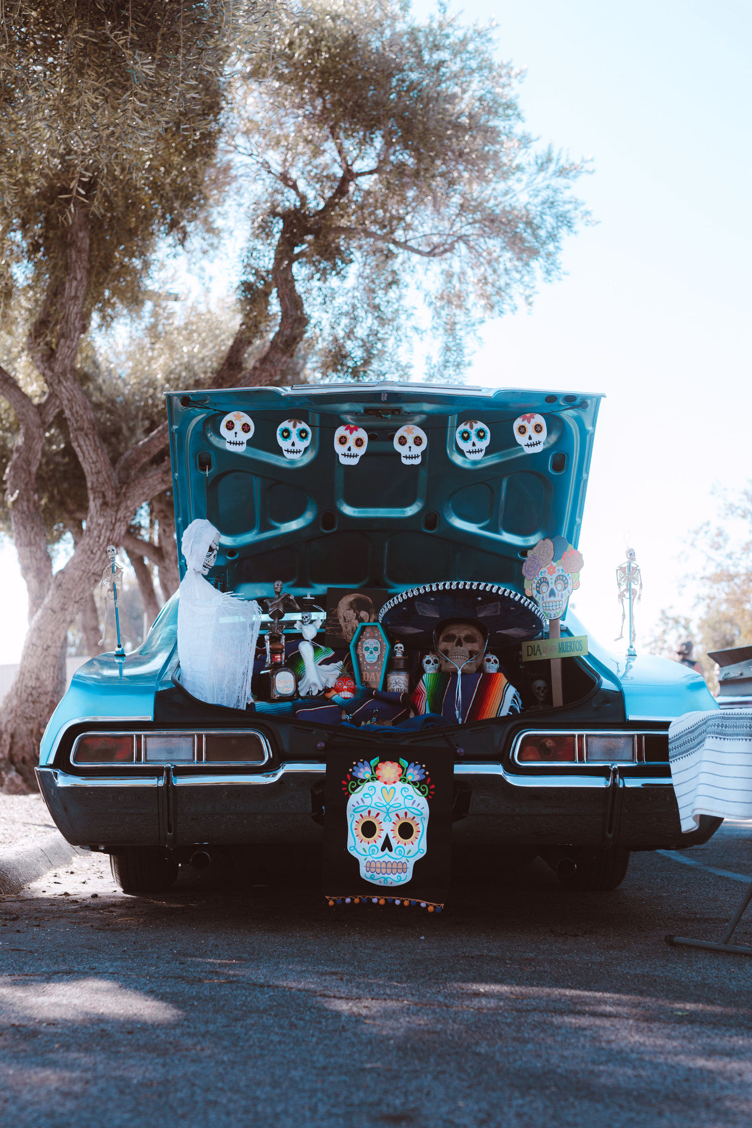 A teal classic sedan parked under trees with its trunk open, the lid hung with paper sugar skulls and the trunk filled with skeletons, skull figures and a sugar-skull banner hanging over the bumper