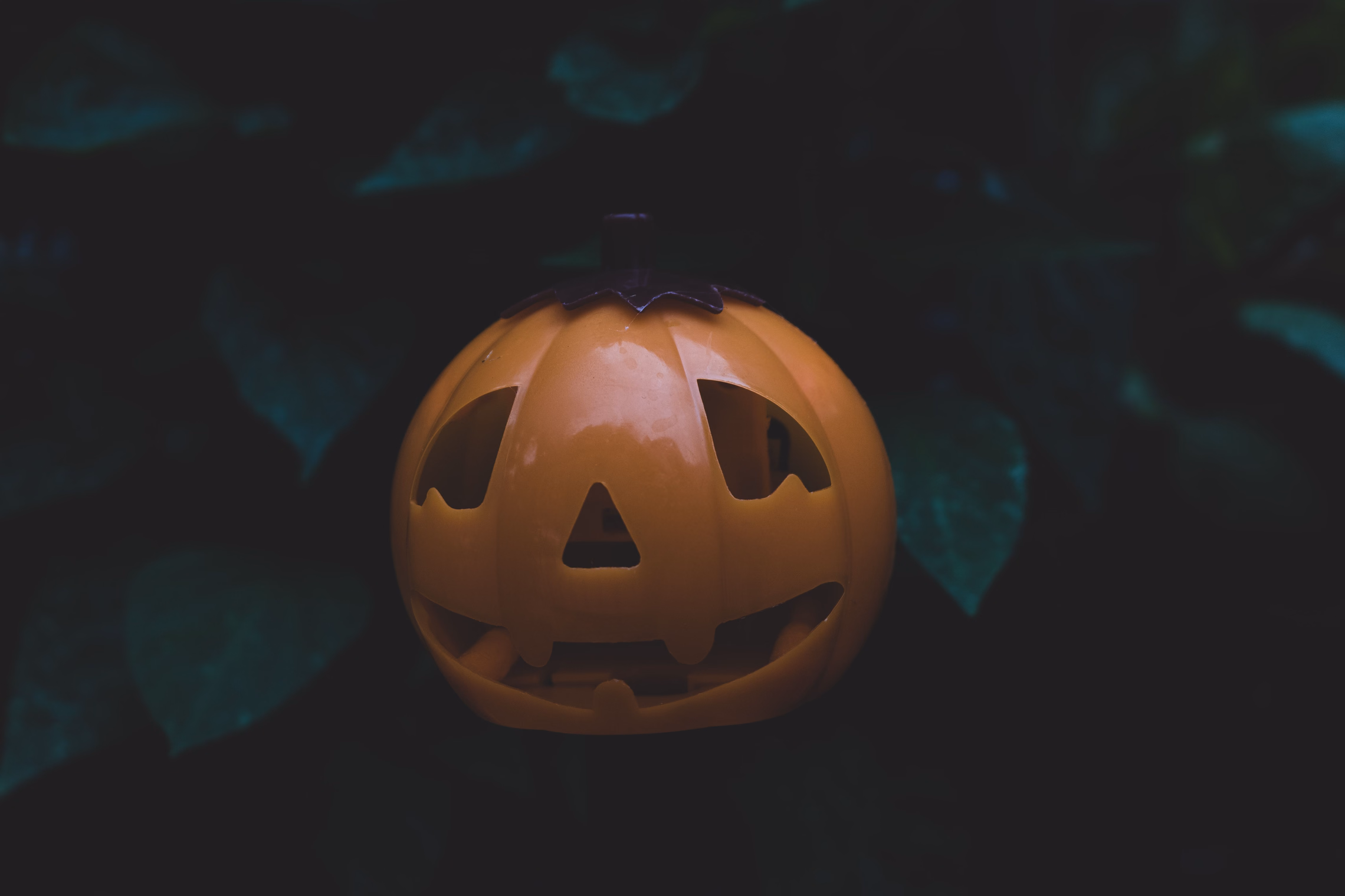 A small orange jack-o'-lantern lantern with cut-out triangle eyes and a jagged grin, set among dark green leaves