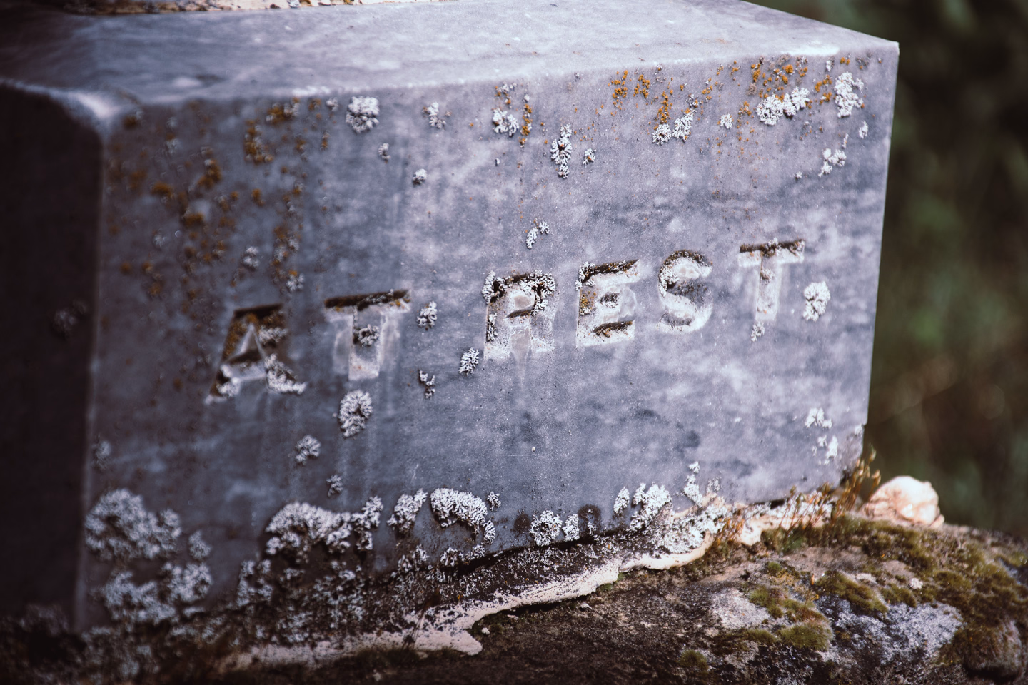 Close-up of a gray gravestone lettered AT REST, with pale lichen crusted along the top edge, the base and inside the carved letters