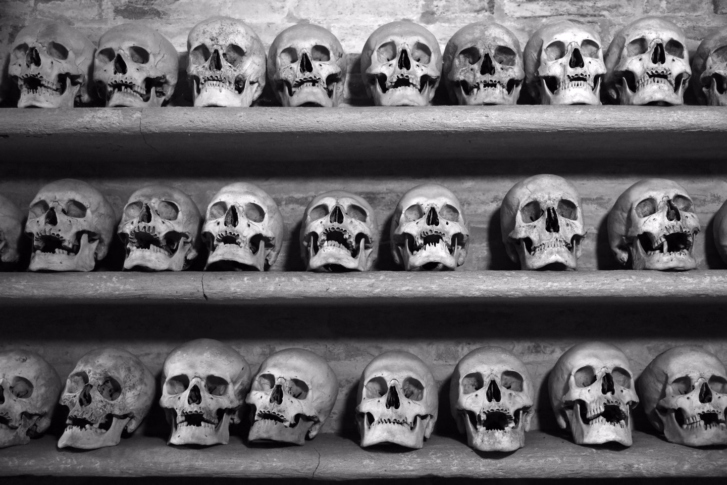 Black and white photo of rows of skulls lined up along three wooden shelves