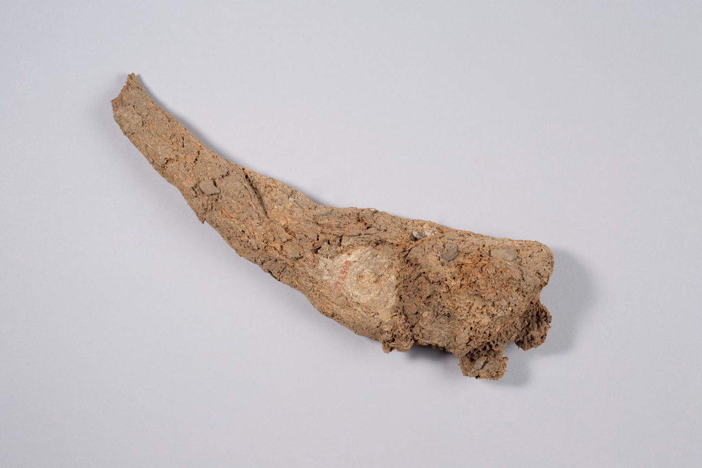 A long, curved, dried-out loaf of ancient bread, crumbly and pale brown, photographed on a plain grey background