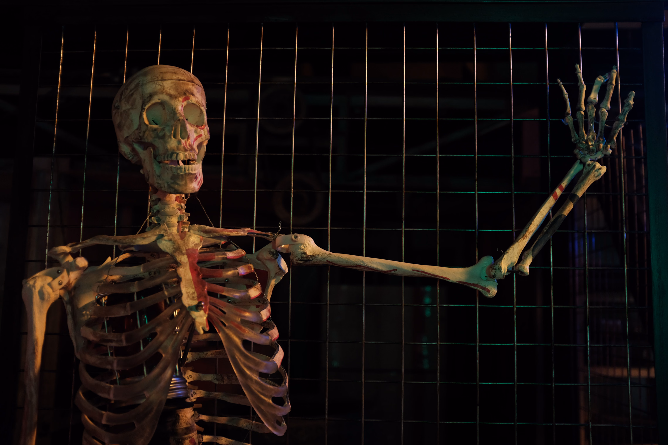 A yellowed plastic skeleton lit in dim orange light behind a black wire grid, one arm raised with the hand reaching up