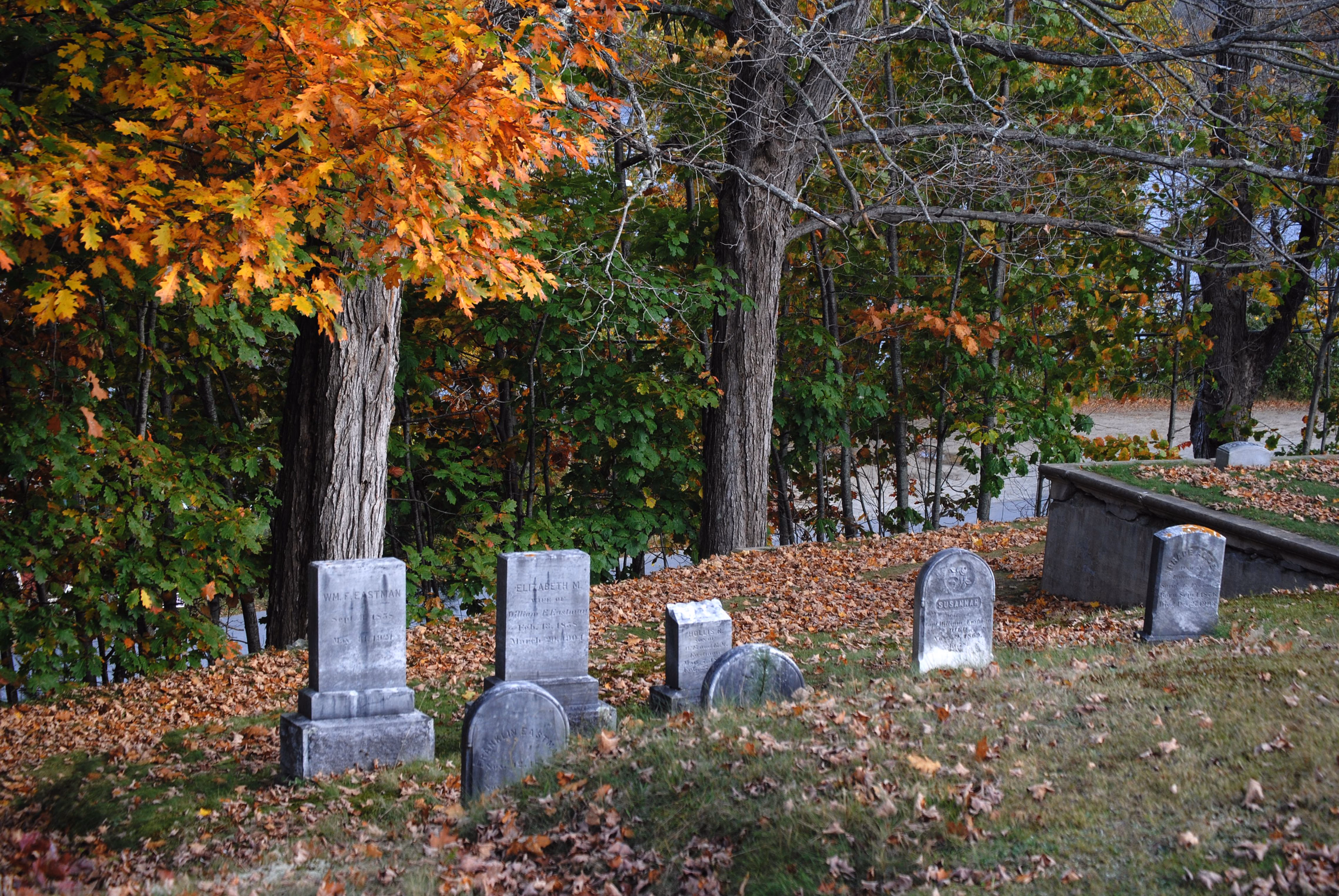 Small weathered headstones on a leaf-covered slope under a tree in orange autumn color, some round-topped and some square tablets on bases